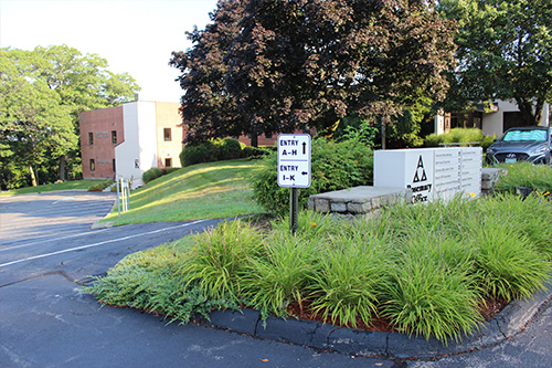 a traffic island with plants